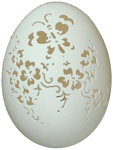 Egg